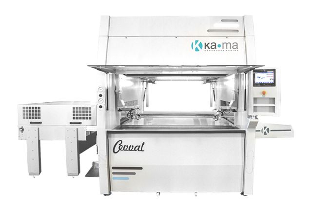 Автоматическая двухсторонняя покрасочная камера...