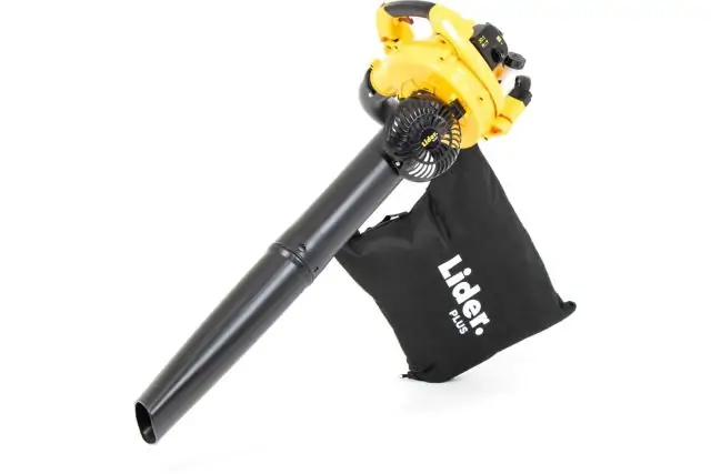Садовый пылесос-воздуходувка Lider Plus SPD30D 1