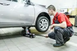 Автомобильный домкрат-лягушка TAGRED TA253 2,5 т 14