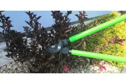 Секатор та ножиці для гілок Bass Polska BP-8885 9