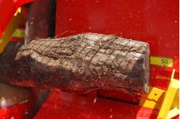 Автоматический дисковый пилоколун RABAUD XYLOG 410