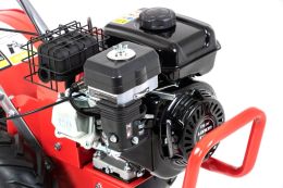 Бензиновый мотокультиватор Faworyt SHT48F-200H