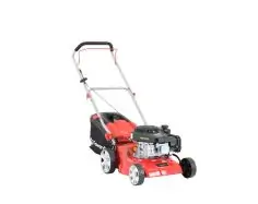 Газонокосилка бензиновая Faworyt SH41P123L