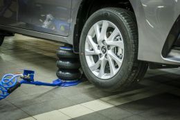 Пневматичний підйомник, подушка TAGRED TA256