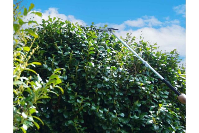 Садовий набір Zipper ZI-GPS252