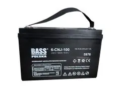 Акумулятор Bass Polska AGM BP-5976