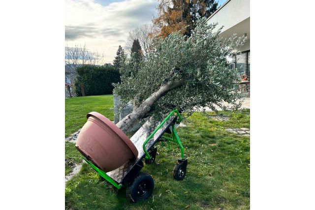 Електричний візок ZIPPER ZI-ET260