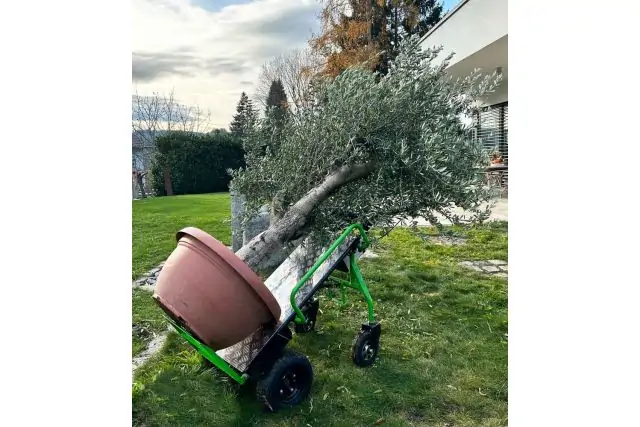 Электрическая тележка ZIPPER ZI-ET260 7