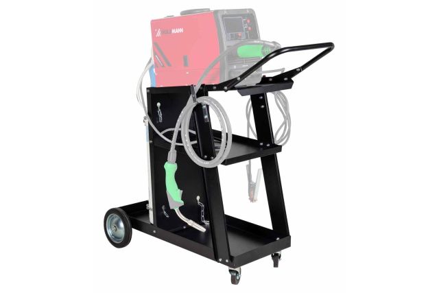 Візок Holzmann FW101 