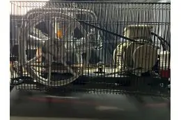 Поршневой компрессор MAST TA65/100L 220V PRO 10